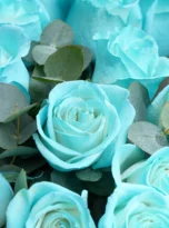 13-tiffany-roses-bouquet-flowers-in-serik-1.webp