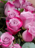 25-purple-roses-bouquet-flowers-in-antalya-2.webp